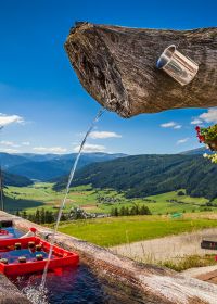 Herzlich Willkommen am Bauernhof Veitlbauer